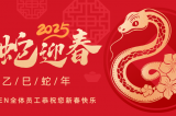 辭舊迎新，蛇舞華章丨深圳容金科技全體員工祝您新春快樂！