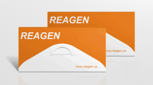 NiV Fusion glycoprotein F1 Recombinant Antibody<m met-id=808 met-table=product met-field=title></m>