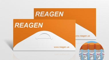 Parainfluenza 1&3 monoantibodies
